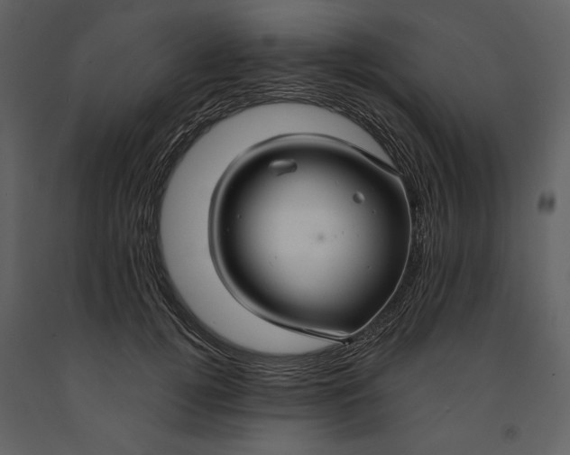 X0000090950752200708241128