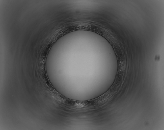 X0000090950753200708241128