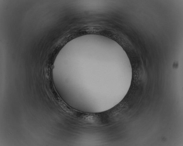 X0000090950755200708241128