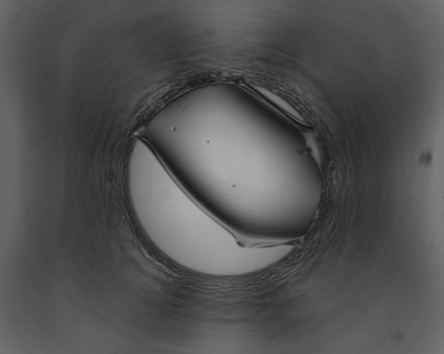 X0000090950756200708241128