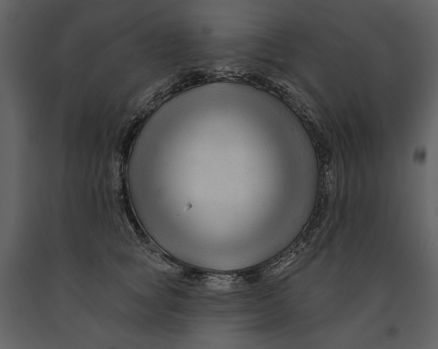 X0000090950757200708241128