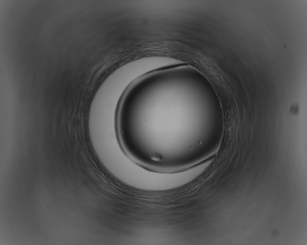 X0000090950758200708241128