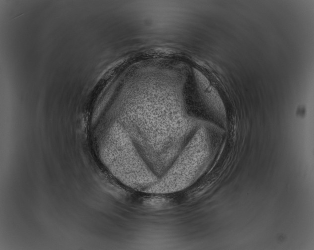 X0000090950759200708241128