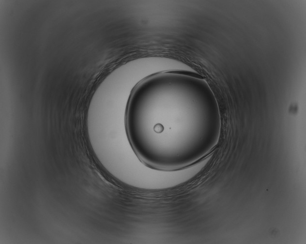 X0000090950760200708241128