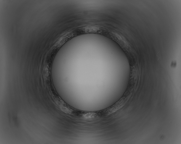 X0000090950761200708241128