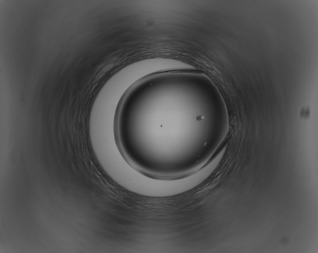 X0000090950762200708241128