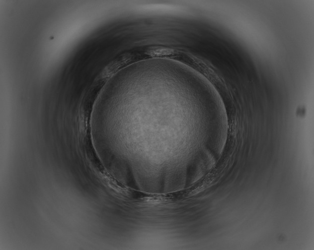X0000090950763200708241128