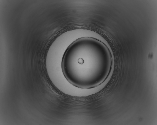 X0000090950764200708241128
