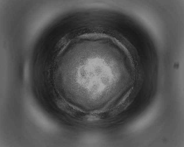 X0000090950765200708241128