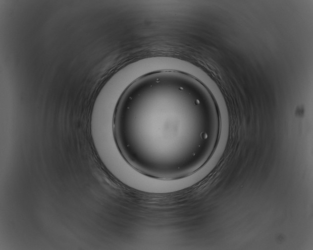 X0000090950766200708241128