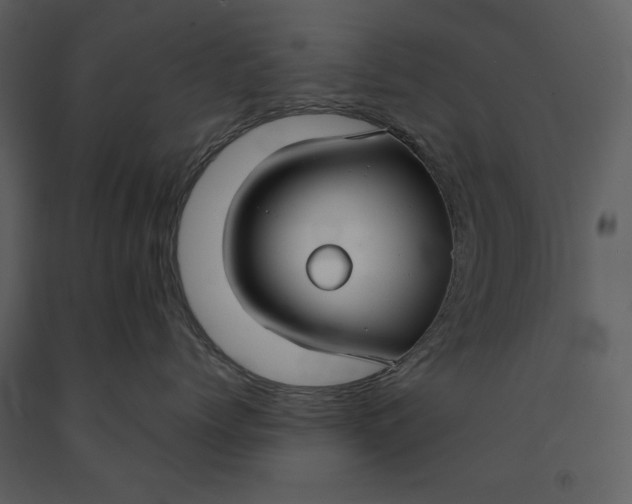 X0000090950768200708241128