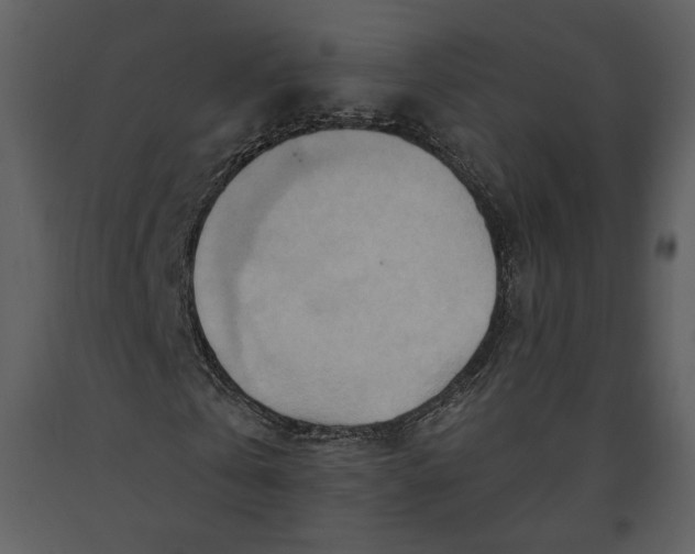 X0000090950769200708241127
