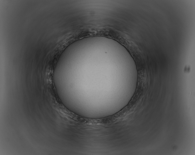 X0000090950770200708241127