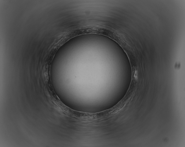 X0000090950771200708241127