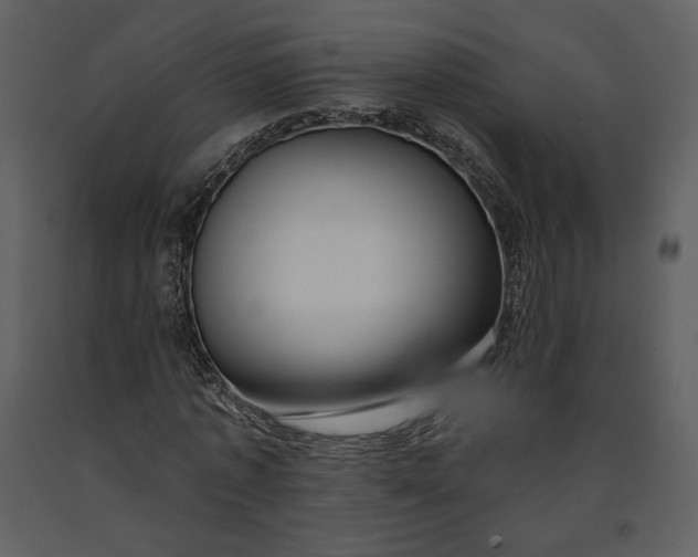 X0000090950773200708241127