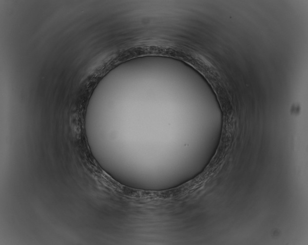 X0000090950774200708241127