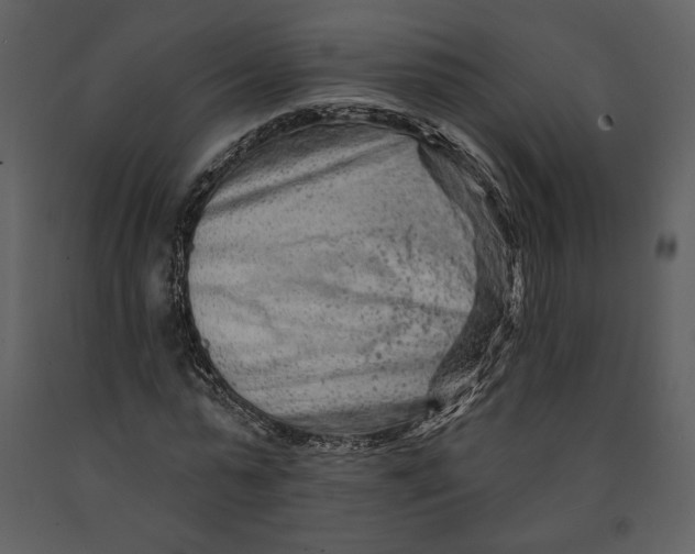 X0000090950775200708241127