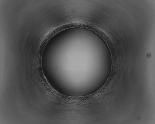 X0000090950776200708241127