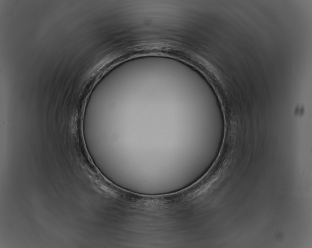 X0000090950778200708241127