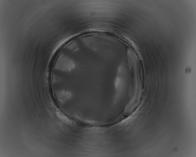 X0000090950779200708241127