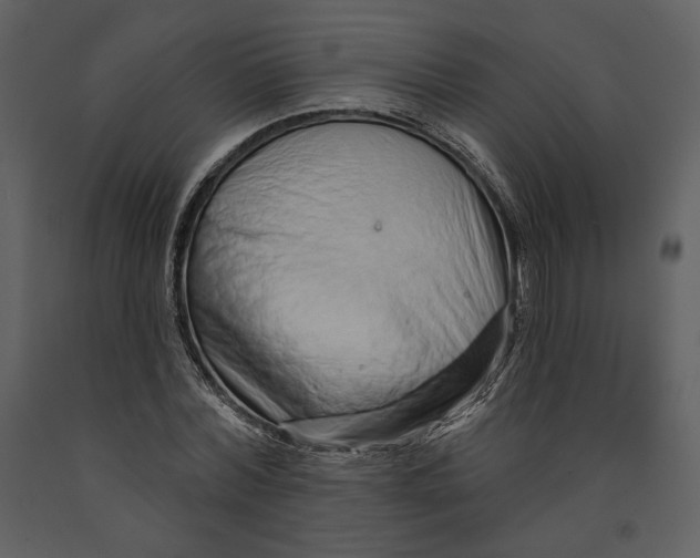 X0000090950780200708241127