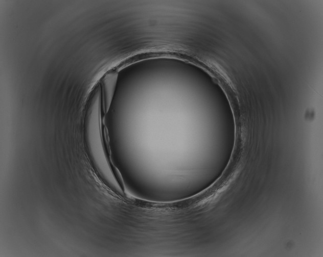 X0000090950781200708241127