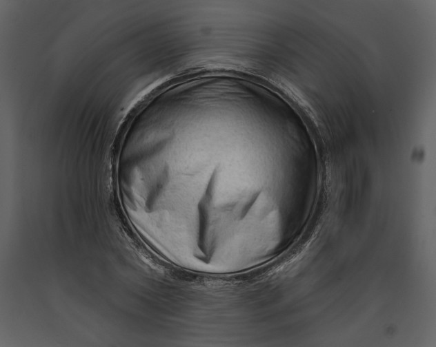 X0000090950782200708241127