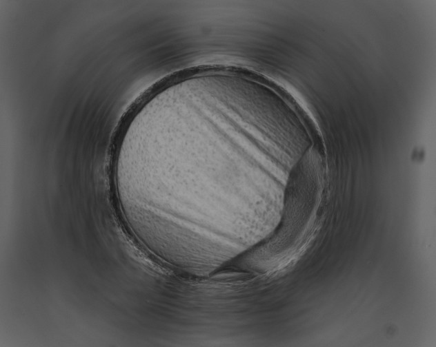 X0000090950783200708241127