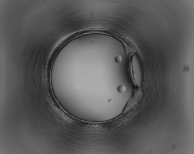 X0000090950784200708241127