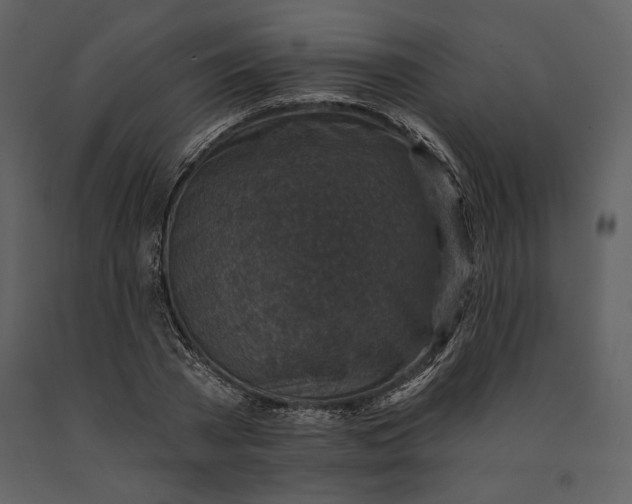X0000090950785200708241127