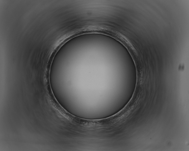 X0000090950786200708241127