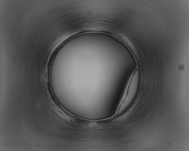 X0000090950787200708241127