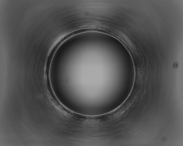 X0000090950788200708241127