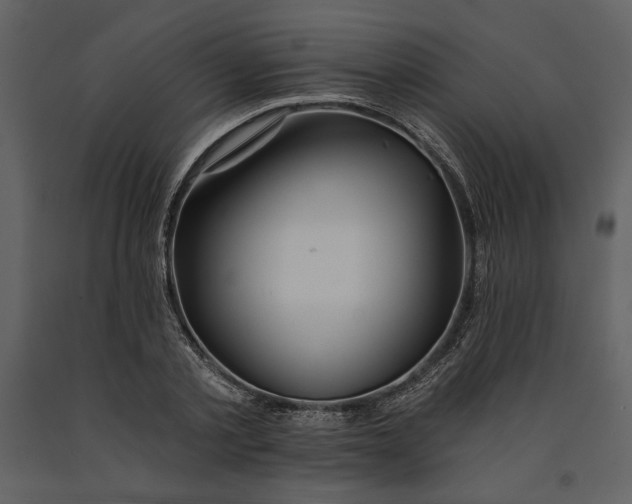 X0000090950789200708241127