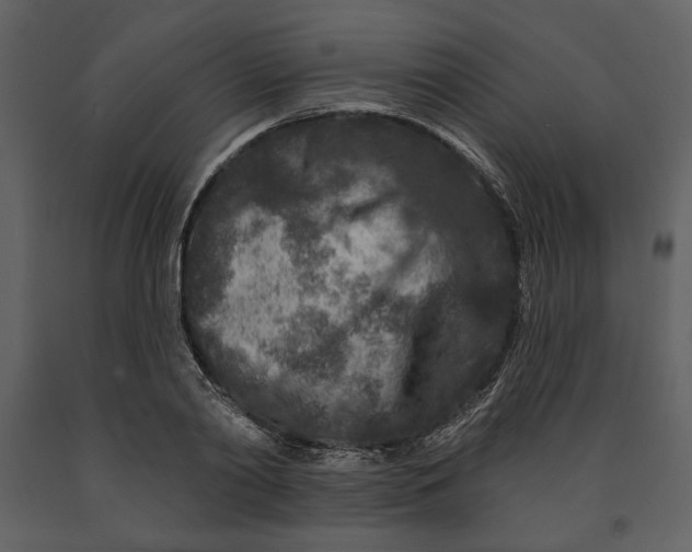 X0000090950790200708241127