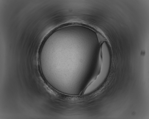 X0000090950791200708241127