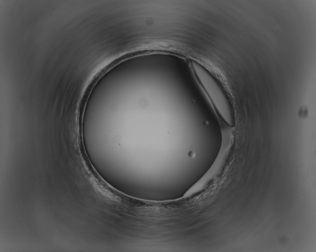 X0000090950792200708241127