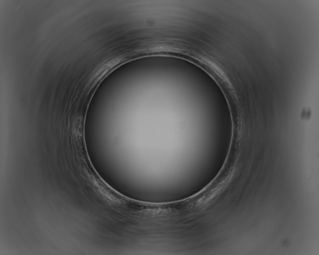 X0000090950793200708241127
