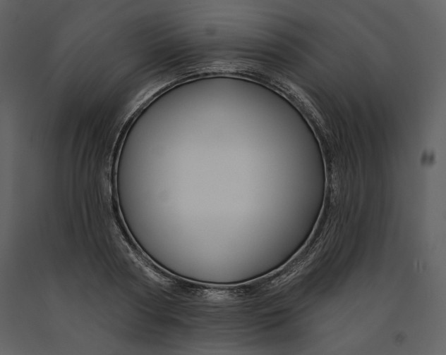 X0000090950794200708241127