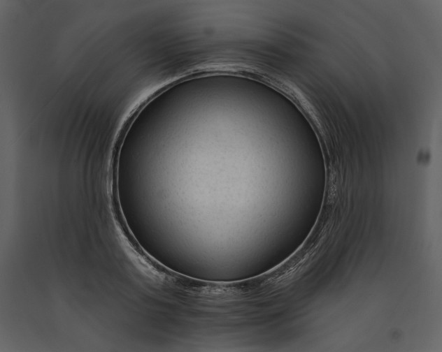 X0000090950795200708241127
