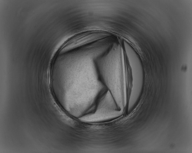 X0000090950796200708241127
