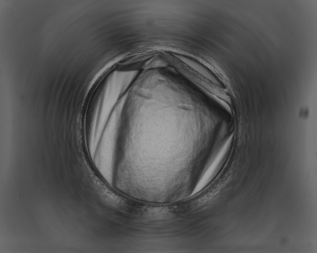 X0000090950798200708241127