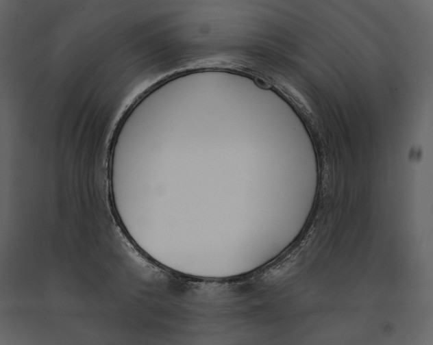 X0000090950800200708241127