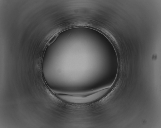 X0000090950801200708241127