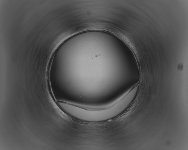 X0000090950803200708241127