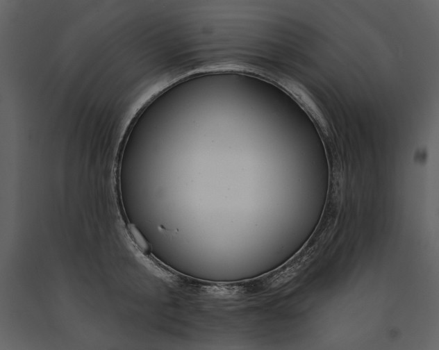 X0000090950805200708241127