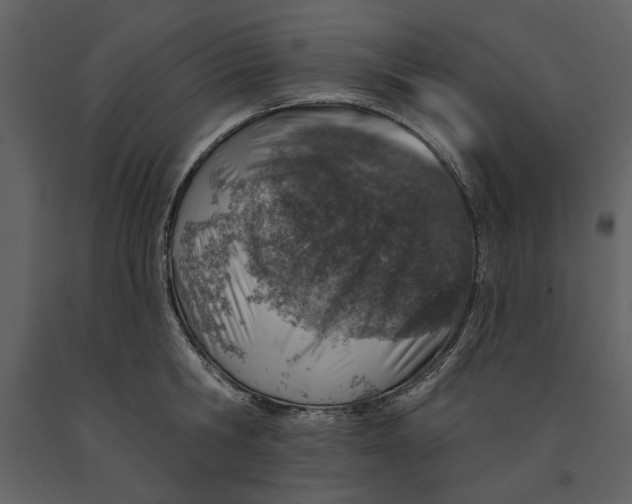 X0000090950806200708241127