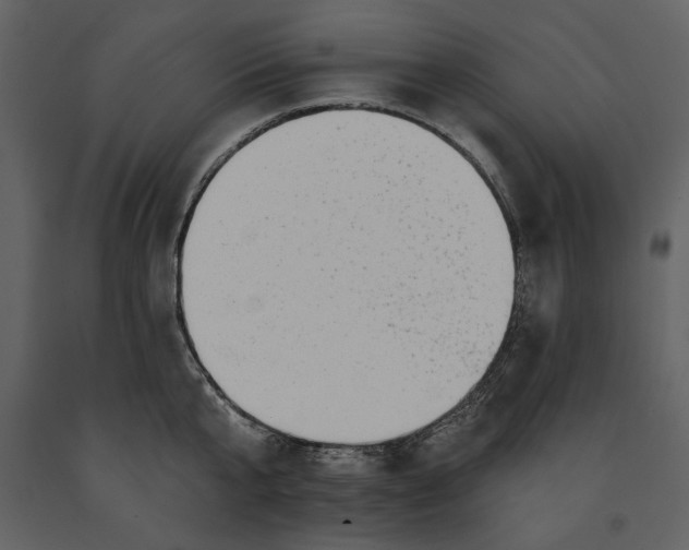 X0000090950807200708241127