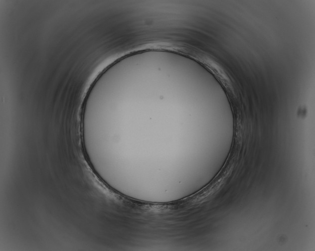X0000090950808200708241127