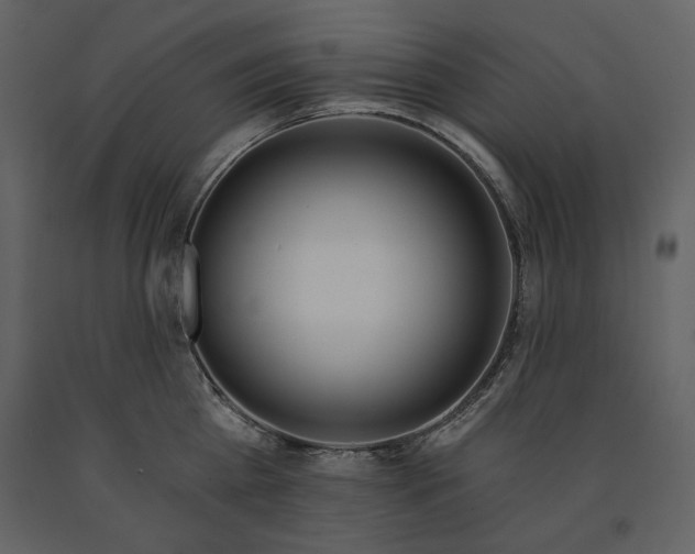 X0000090950809200708241126